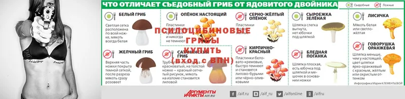 наркотики  Красногорск  сайты даркнета наркотические препараты  Псилоцибиновые грибы прущие грибы 